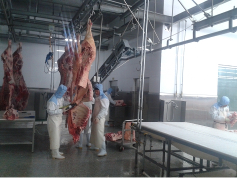 牛屠宰設(shè)備說(shuō)明