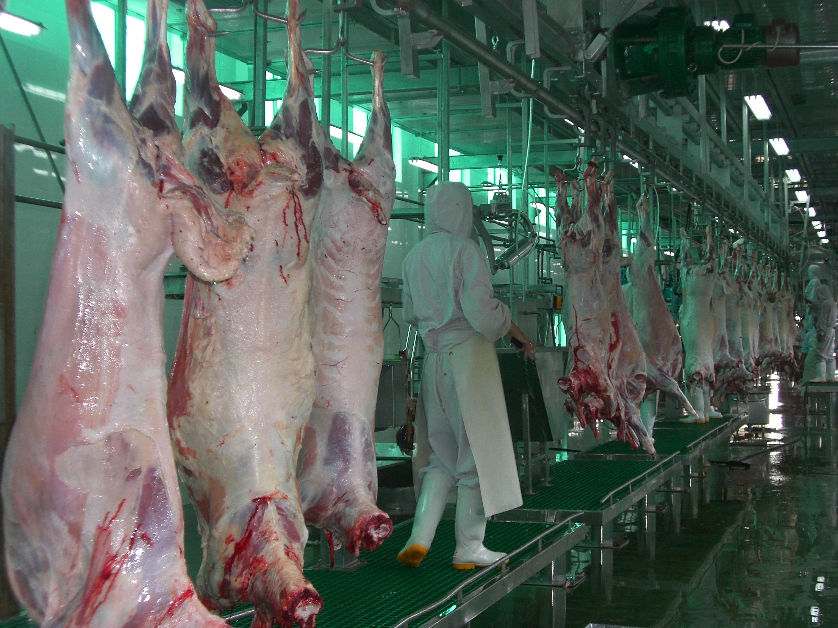 羊屠宰設(shè)備說(shuō)明